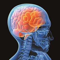 neurologia